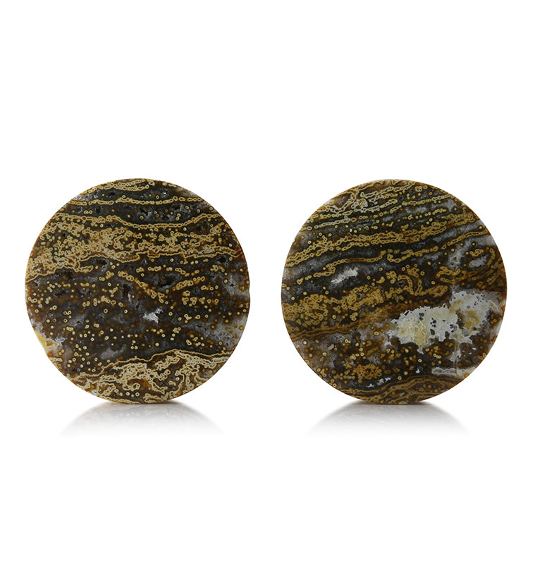 Ocean Jasper Stone Plugs 1 & 1/4 Inch (32mm) Version 2