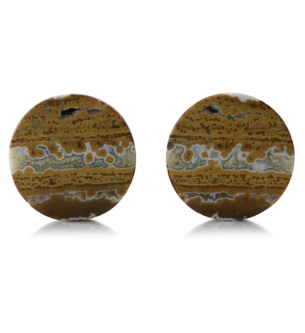 Ocean Jasper Stone Plugs 7/8 Inch (22mm) Version 1