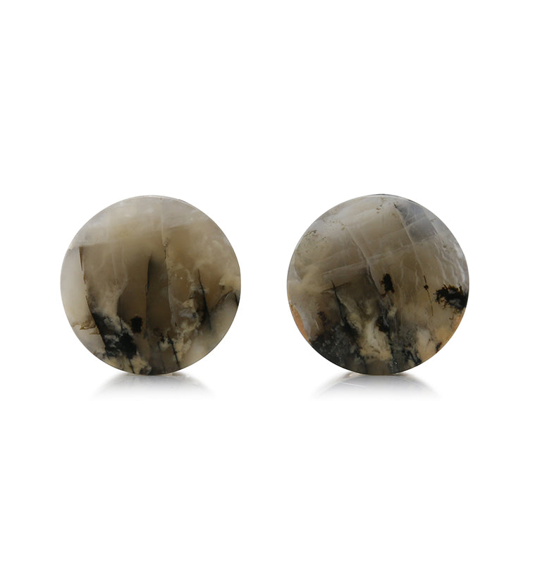 Tiger Agate Dendritic Stone Plugs 5/8 Inch (16.2mm) Version 2