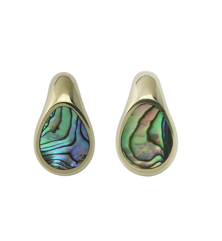 Abalone Keyhole Brass Ear Weights