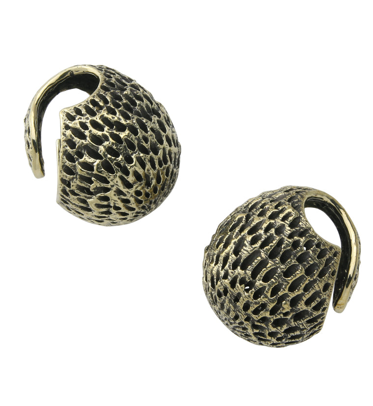 Achene Brass Ear Weights