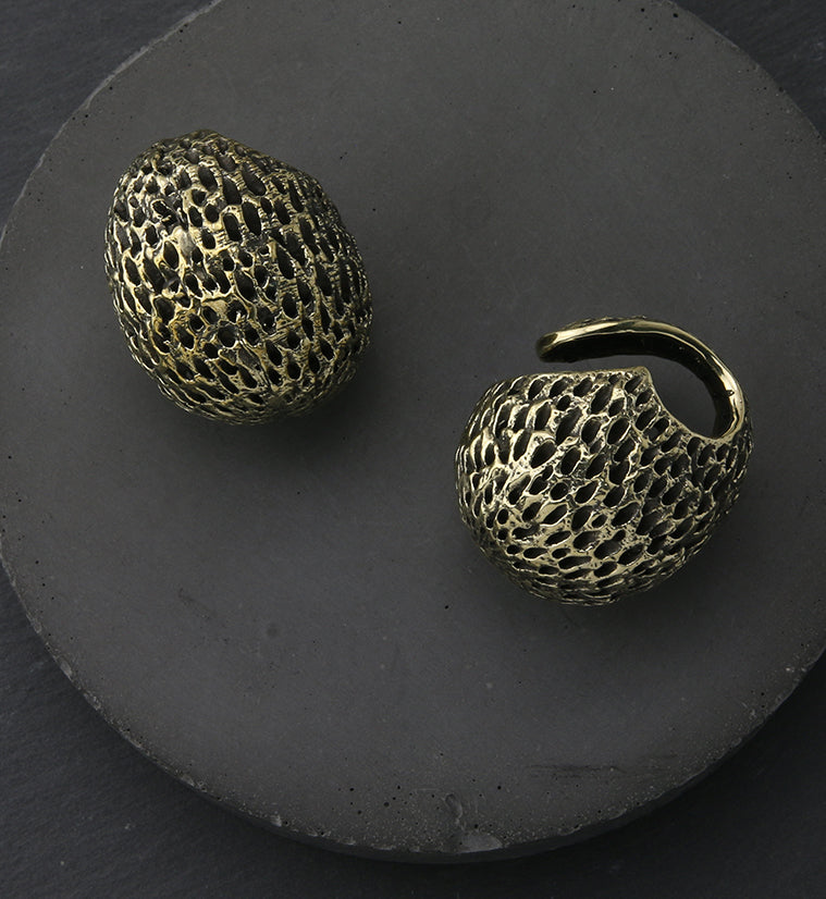 Achene Brass Ear Weights