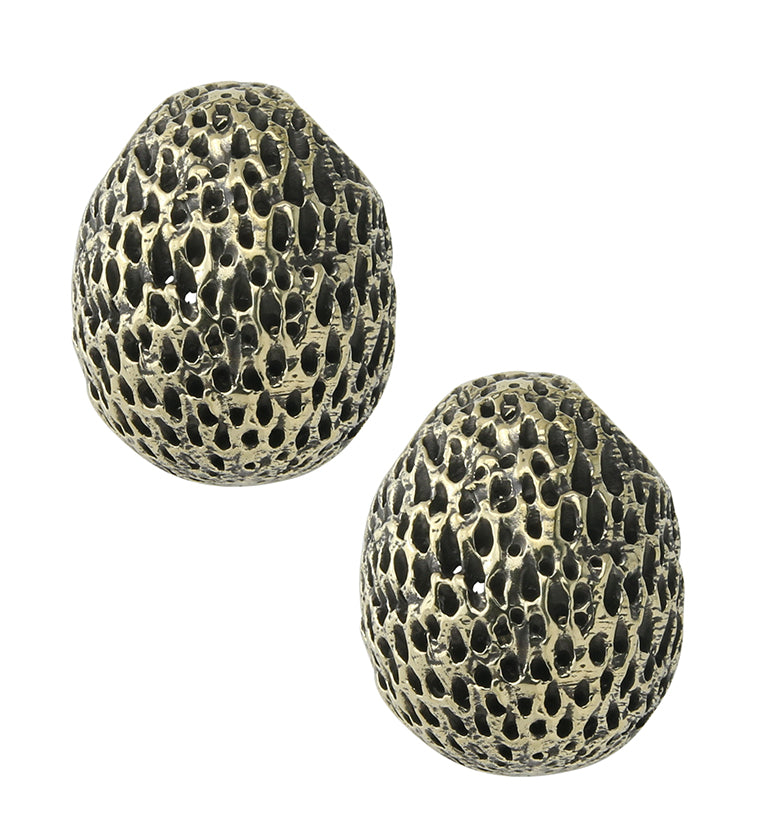 Achene Brass Ear Weights