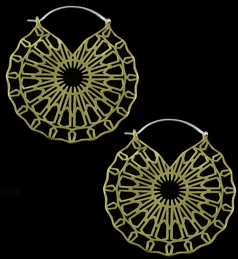 Aerial Brass Earrings / Weights