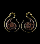 Copper Ammonite Brass Ear Weights