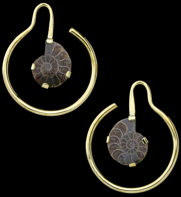 Drop Ammonite Fossil Hoop Ear Weights