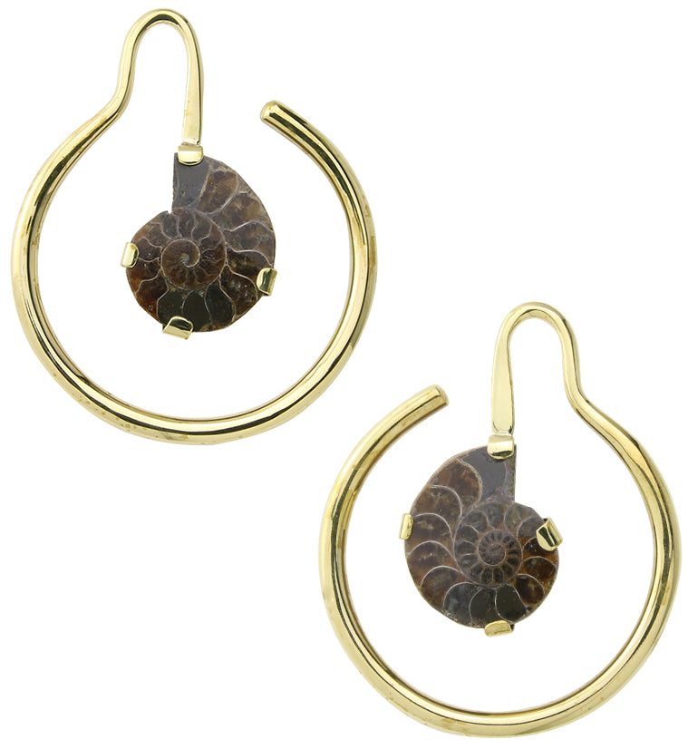 Drop Ammonite Fossil Hoop Ear Weights
