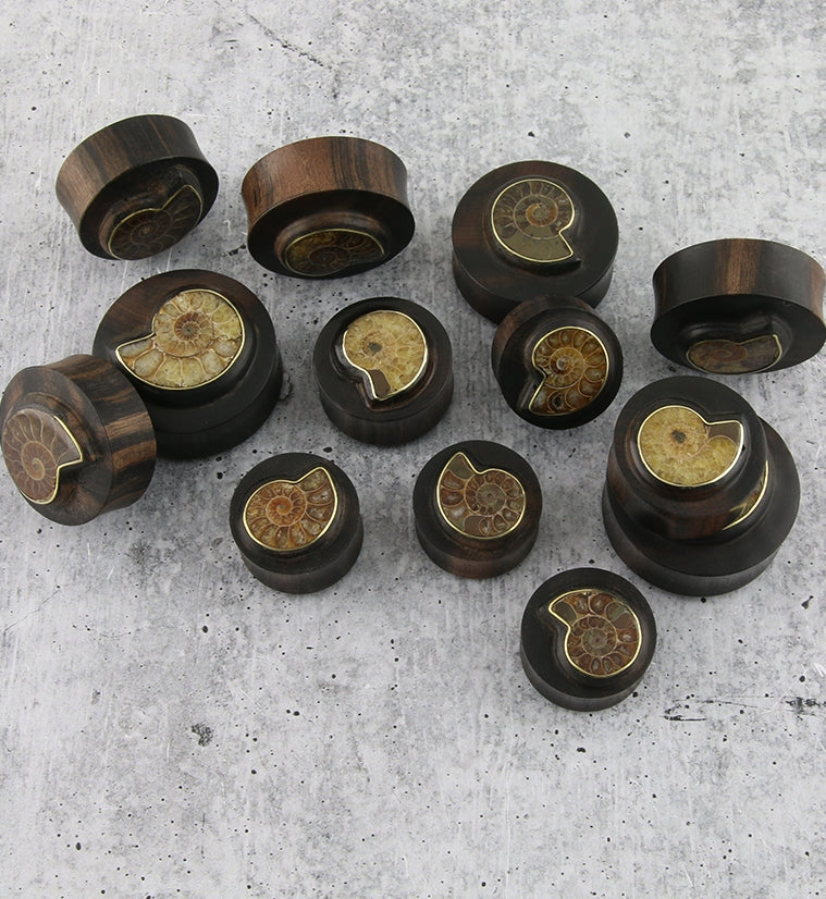 Areng Wood Plugs with Ammonite Inlay
