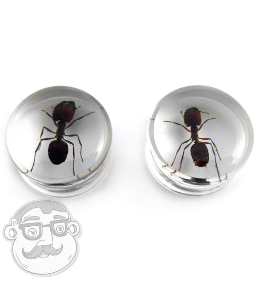 Insect Bug Gauges