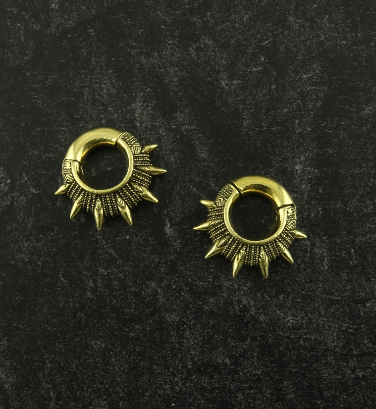 Apex Hinged Ear Weights