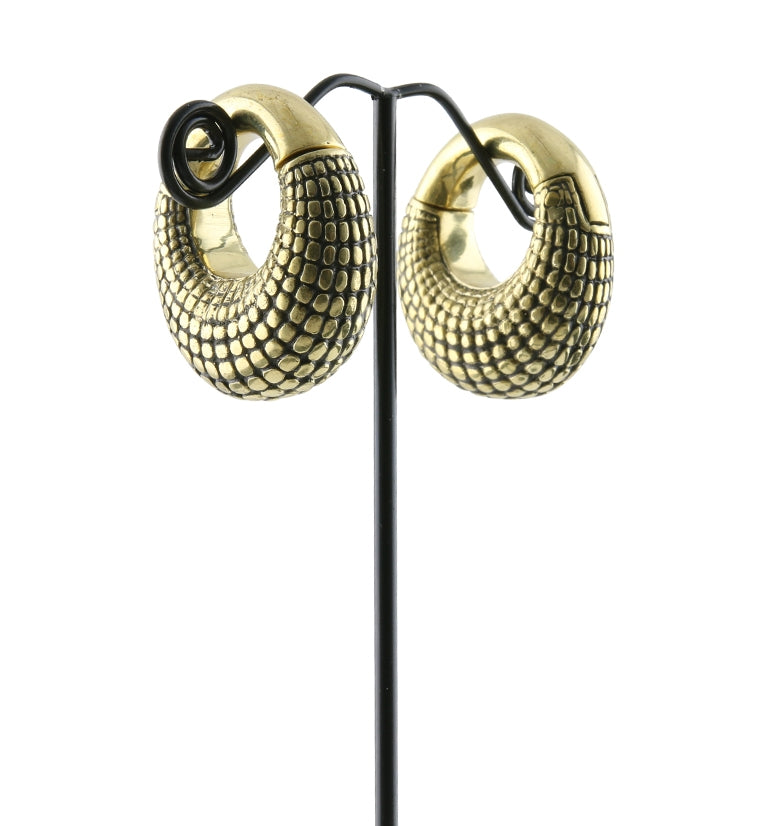 Atom Ring Hinged Ear Weights