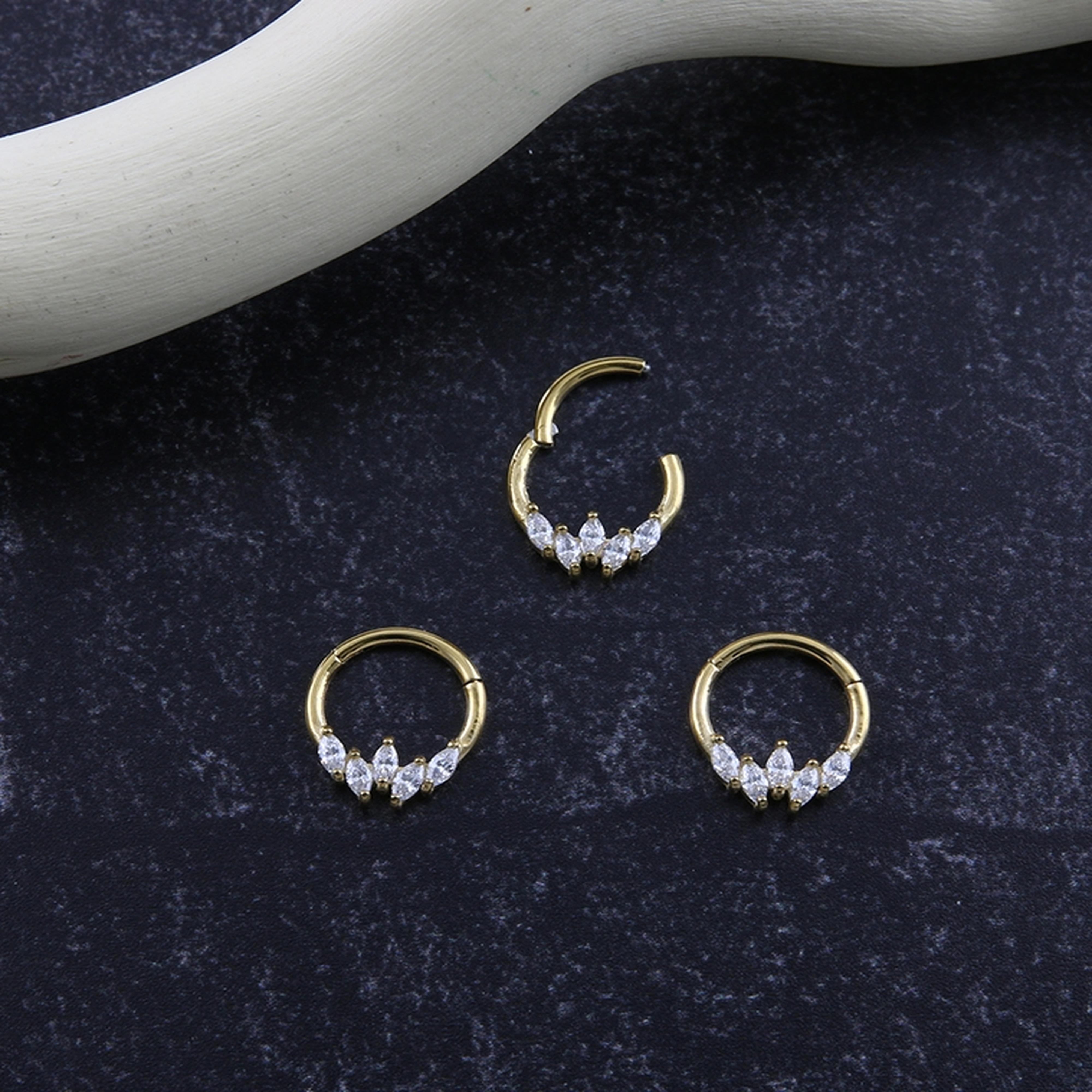 Auroral CZ Gold PVD Hinged Segment Ring