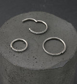 Band CZ Titanium Hinged Segment Ring