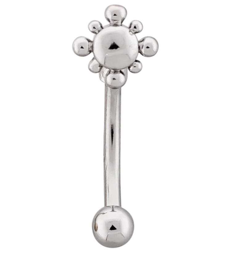 Beaded Sol Stainless Steel Curved Barbell