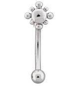 Beaded Sol Stainless Steel Curved Barbell
