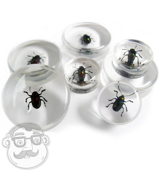 Beetle Bug Plugs