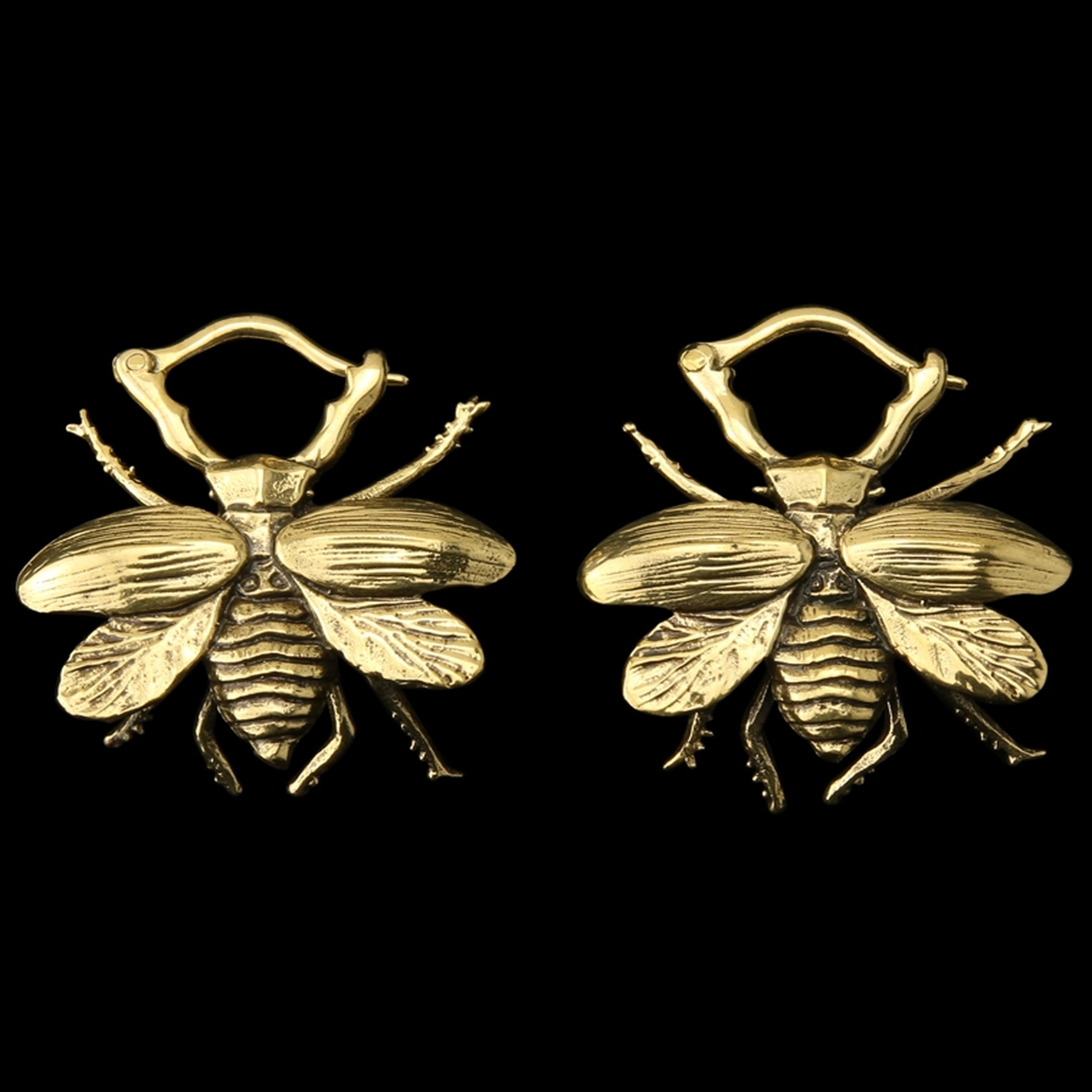 Beetle Hinged Ear Weights