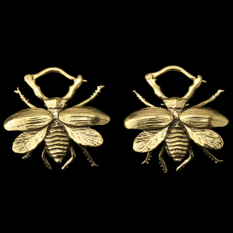 Beetle Hinged Ear Weights