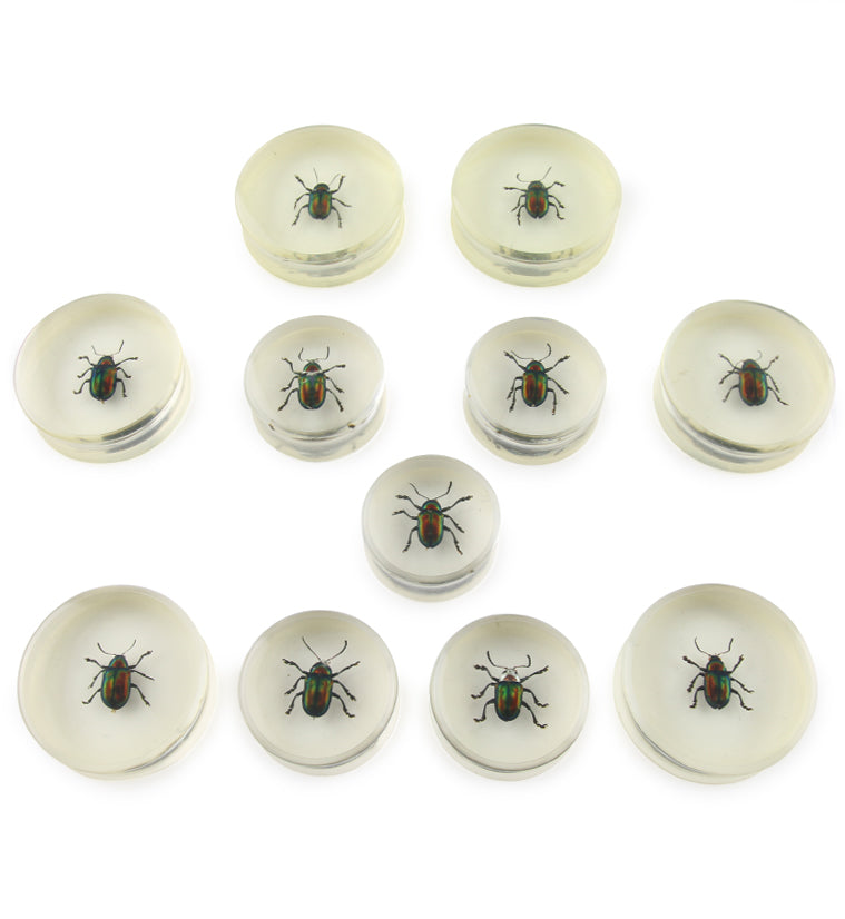 Beetle Inlay Bug Plugs