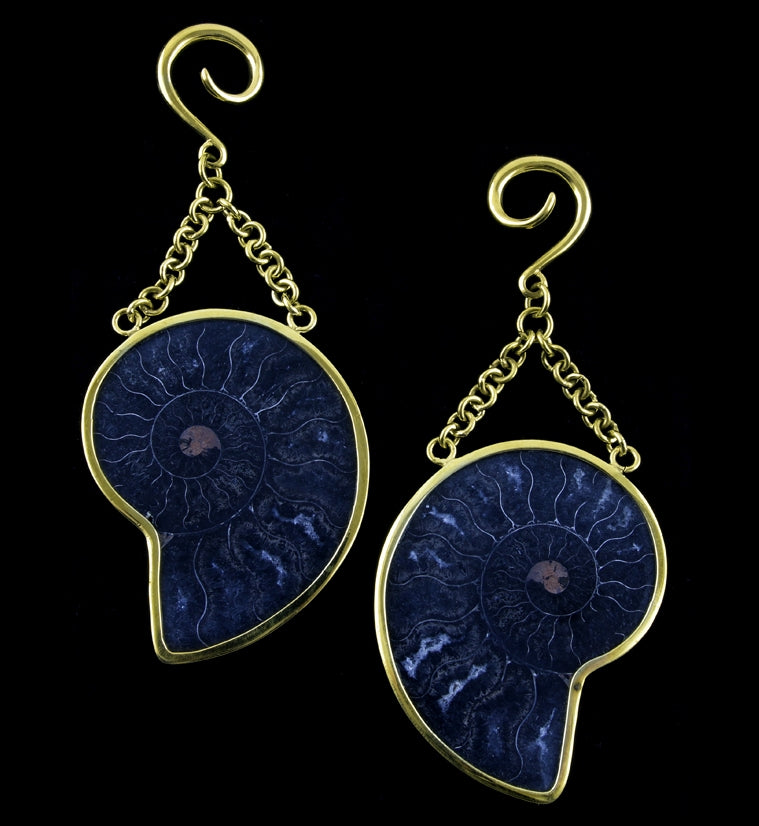 Black Ammonite Fossil Ear Weights