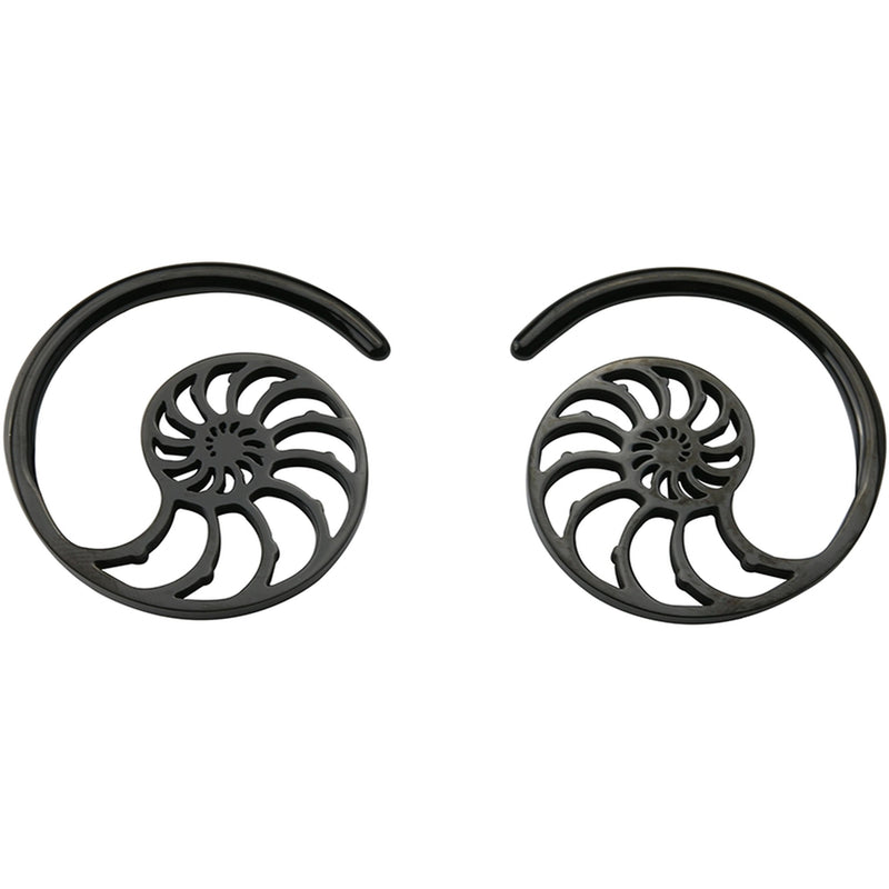 Black PVD Ammonite Ear Weights