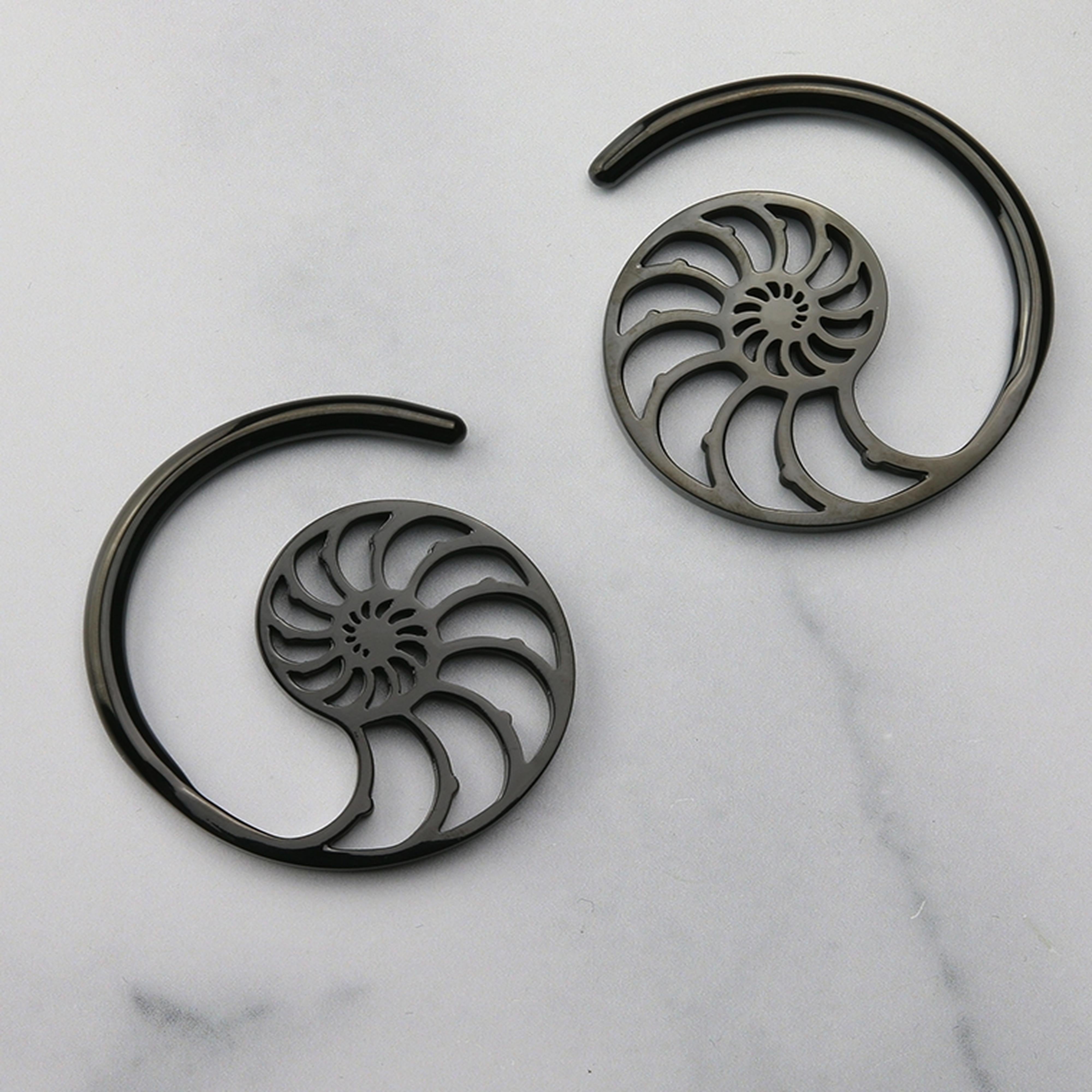 Black PVD Ammonite Ear Weights