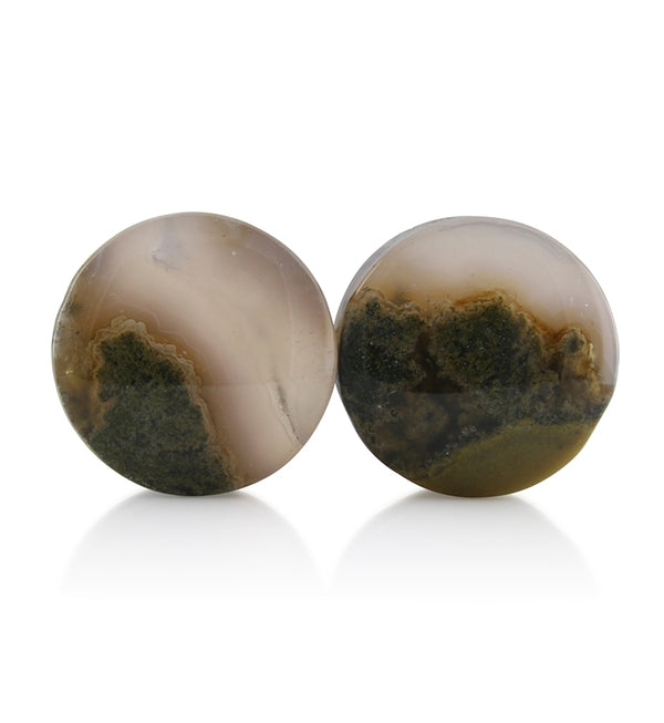 Blue Forest Petrified Wood Plugs 3/4 inch (19mm) Version 1