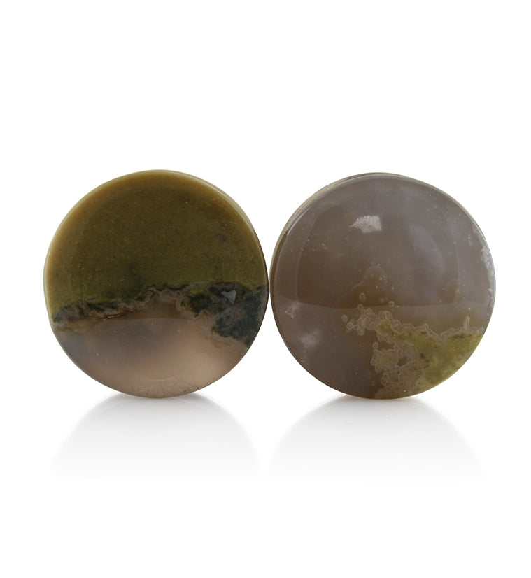 Blue Forest Petrified Wood Plugs 3/4 inch (19mm) Version 2