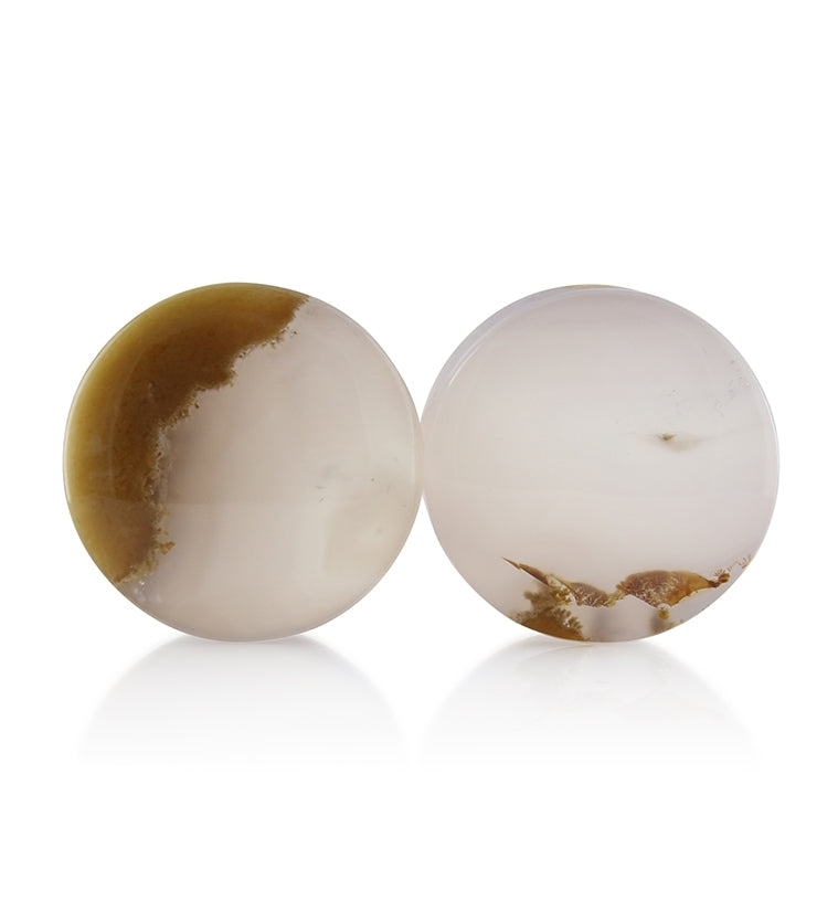 Blue Forest Petrified Wood Plugs 3/4 inch (19mm) Version 3