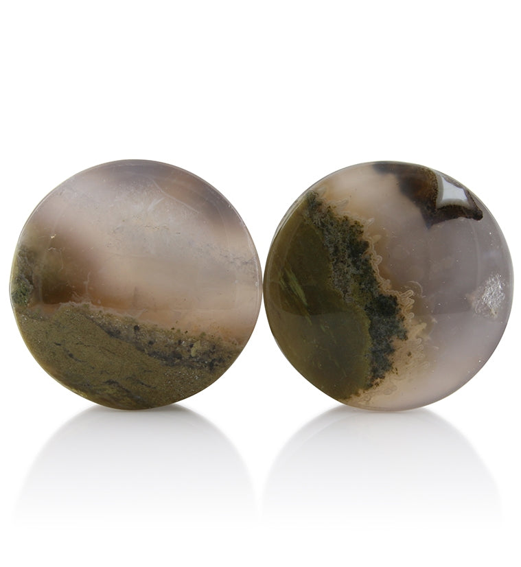 Blue Forest Petrified Wood Plugs 1 Inch (25mm) Version 1