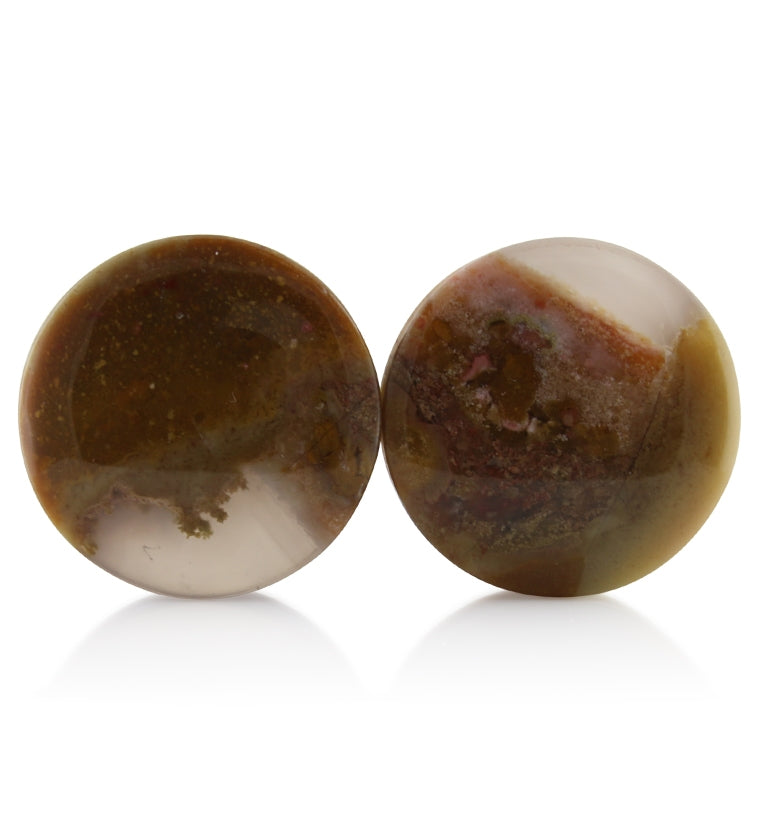 Blue Forest Petrified Wood Plugs 1 Inch (25mm) Version 3