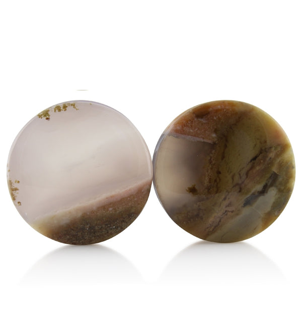 Blue Forest Petrified Wood Plugs 1 Inch (25mm) Version 4