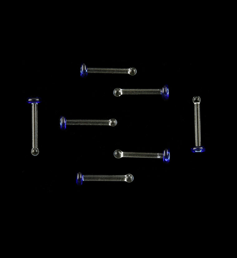 20G Blue Top Glass Nosebone