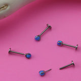 Blue Opalite Claw Set Titanium Threadless Labret