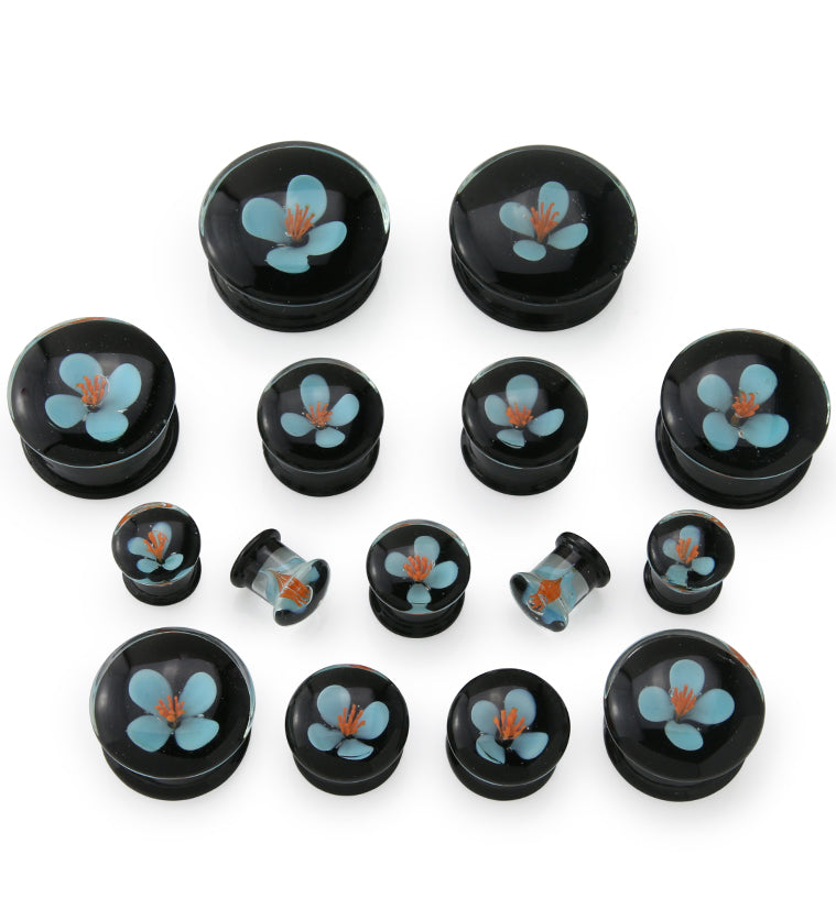 Blue Poppy Flower Black Glass Double Flare Plugs