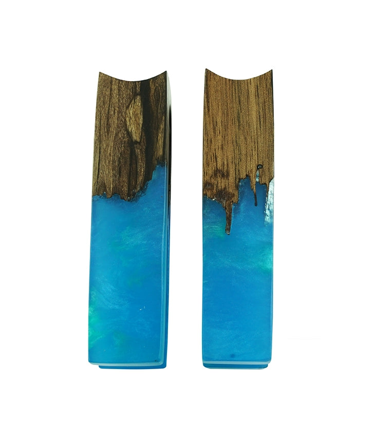 Ocean Resin Areng Wood Tower Ear Weights