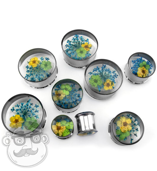 Blue & Yellow Preserved Flower Stainless Steel Plugs