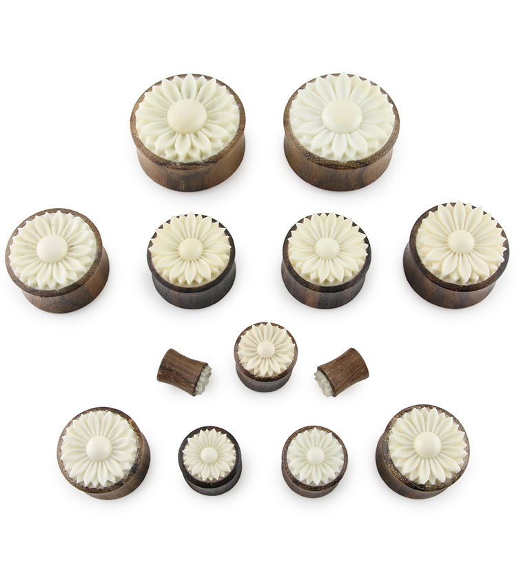 Areng Wooden Plugs With Carved Bone Daisy Flower Inlay