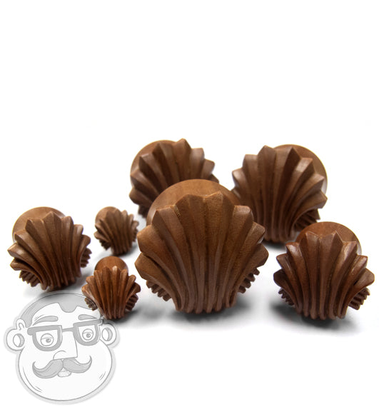 Sea Shell Wood Plugs