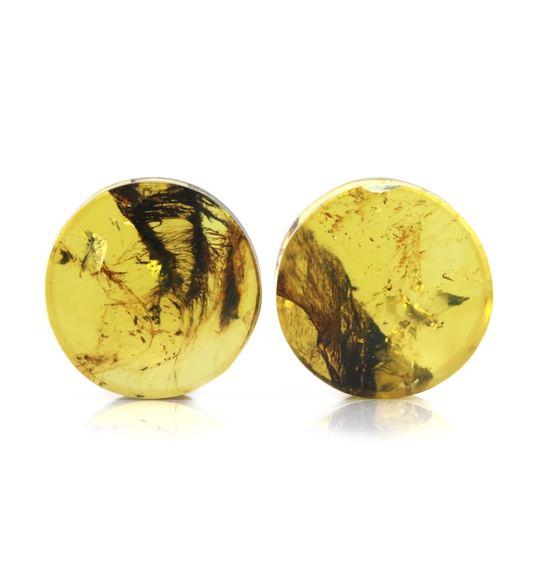 Chiapas Amber Plugs 5/8" (16mm)