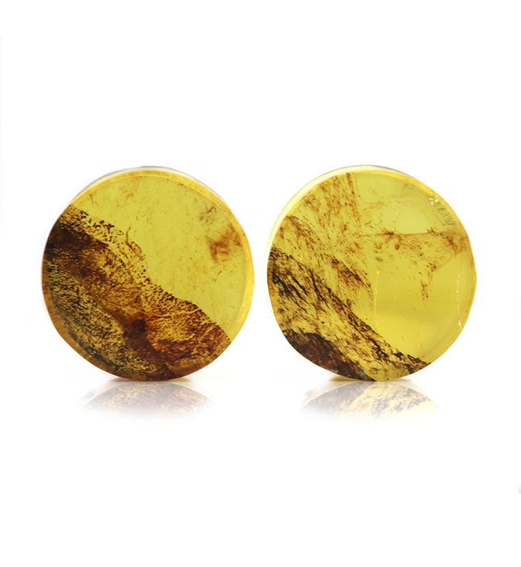 Chiapas Amber Plugs 5/8" (16mm)