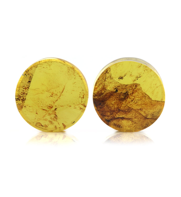 Chiapas Amber Plugs 5/8" (16mm)