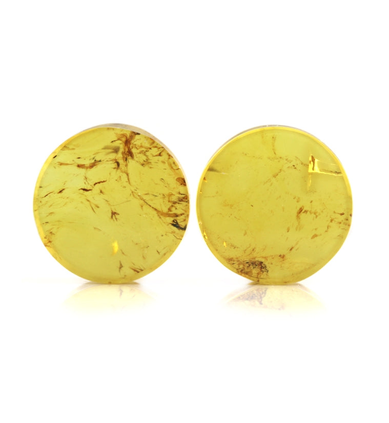 Chiapas Amber Plugs 5/8" (16mm)