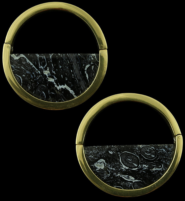 Colure Black Palm Root Stone Ear Weights