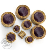 Olive Wood Concave Plugs With Purple Heart Inlay