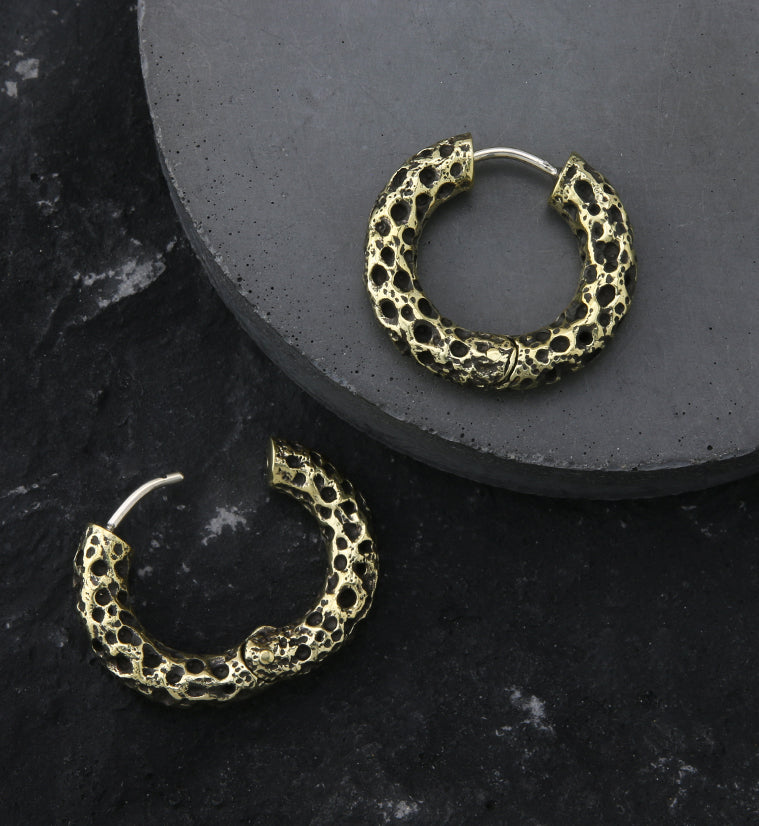 Coral Sponge Brass Hinged Earrings