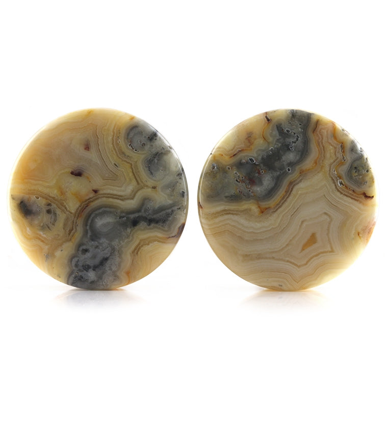 Crazy Lace Agate Stone Plugs 1 & 1/4" (32mm)