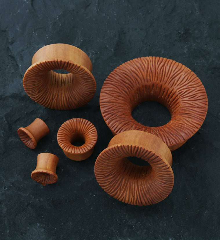 Crinkle Saba Wood Mayan Flare Tunnel Plugs