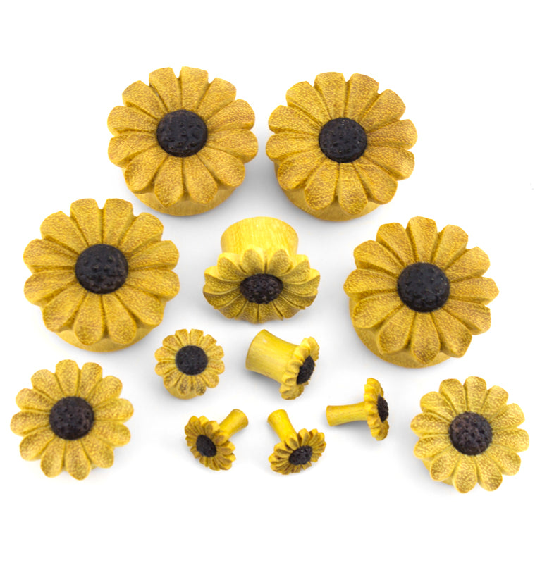 Grand Sunflower Wood Plugs
