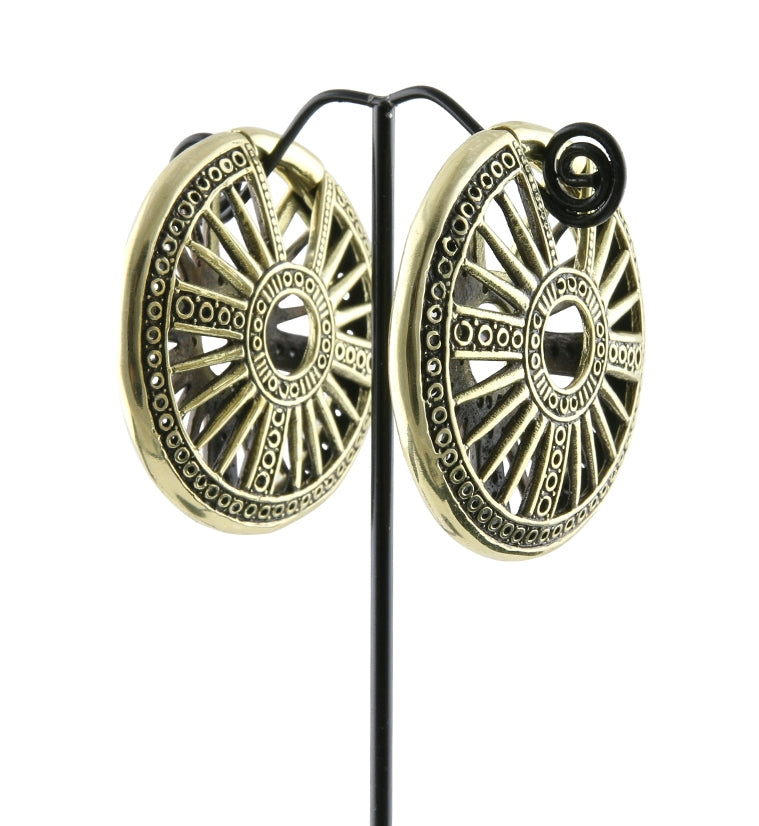 Daton Hinged Ear Weights